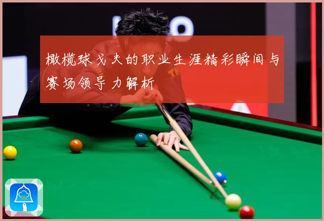 橄榄球戈夫的职业生涯精彩瞬间与赛场领导力解析