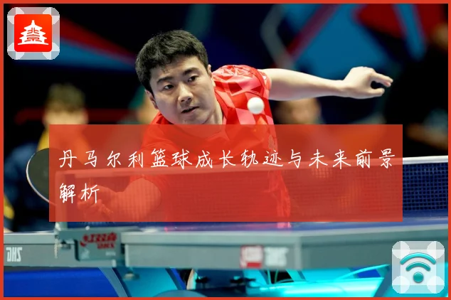 丹马尔利篮球成长轨迹与未来前景解析